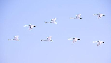 《木卫四协议》高＆极限画质光追PC配置要求公布